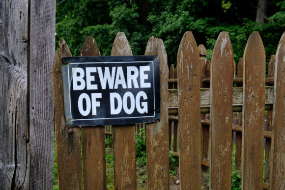 Photograph of a "Beware of Dog" warning sign on an old, weathered, picket fence in the New England country side