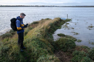 Environmental researcher documenting observations and data on a clipboard while conducting an ecological field survey. The focus is on recording habitat condition and species health in a tidal wetland as part of a long-term conservation study.