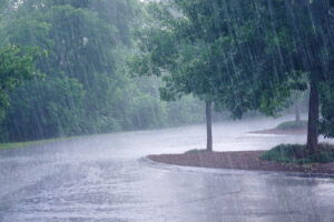 heavy rain and tree in the parking lot