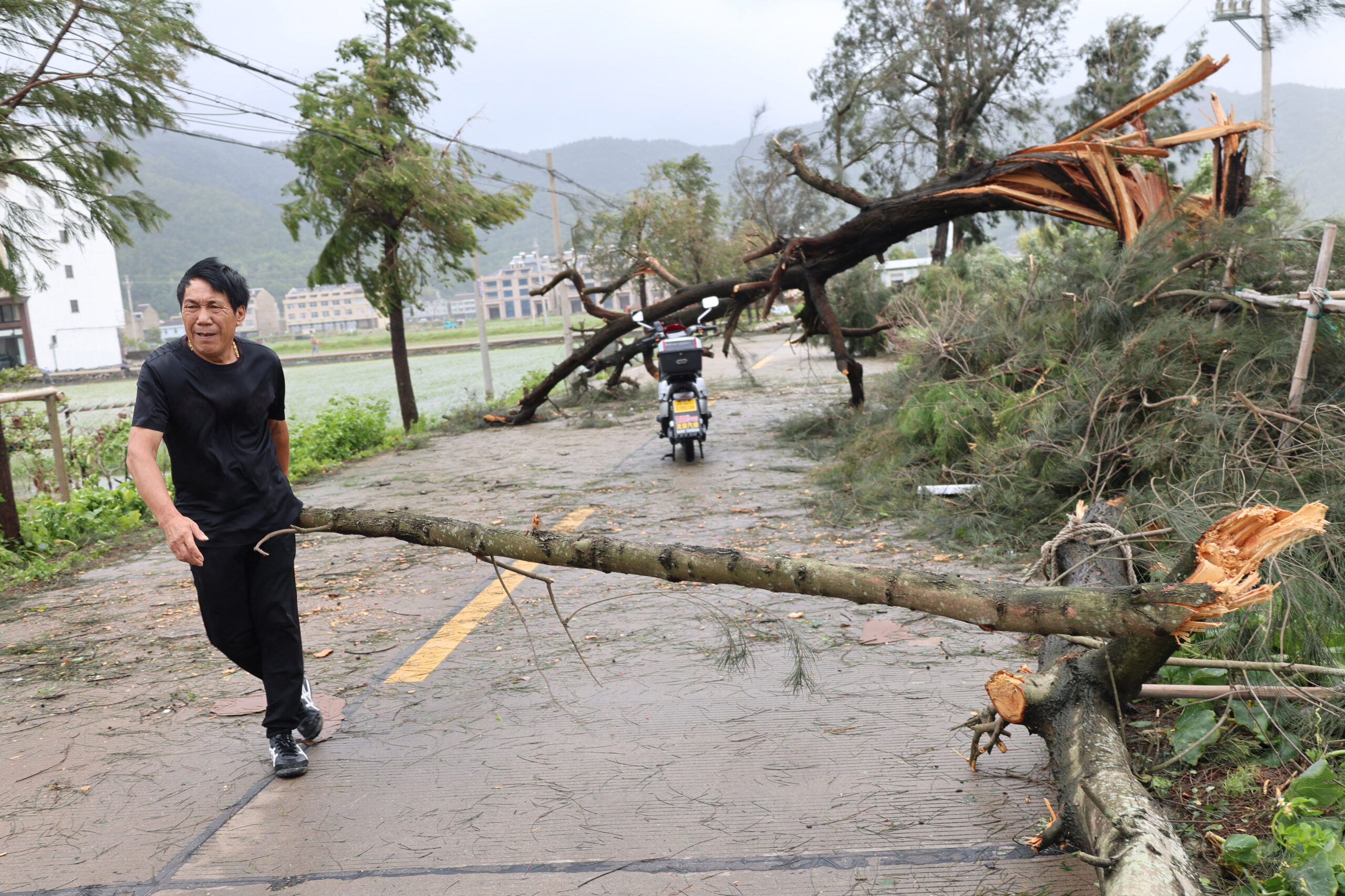 Photo: insurancejournal.com El Niño Drives Asia Toward One of Most Intense Typhoon Seasons on Record