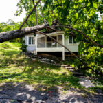 falling tree after hard storm on damage house