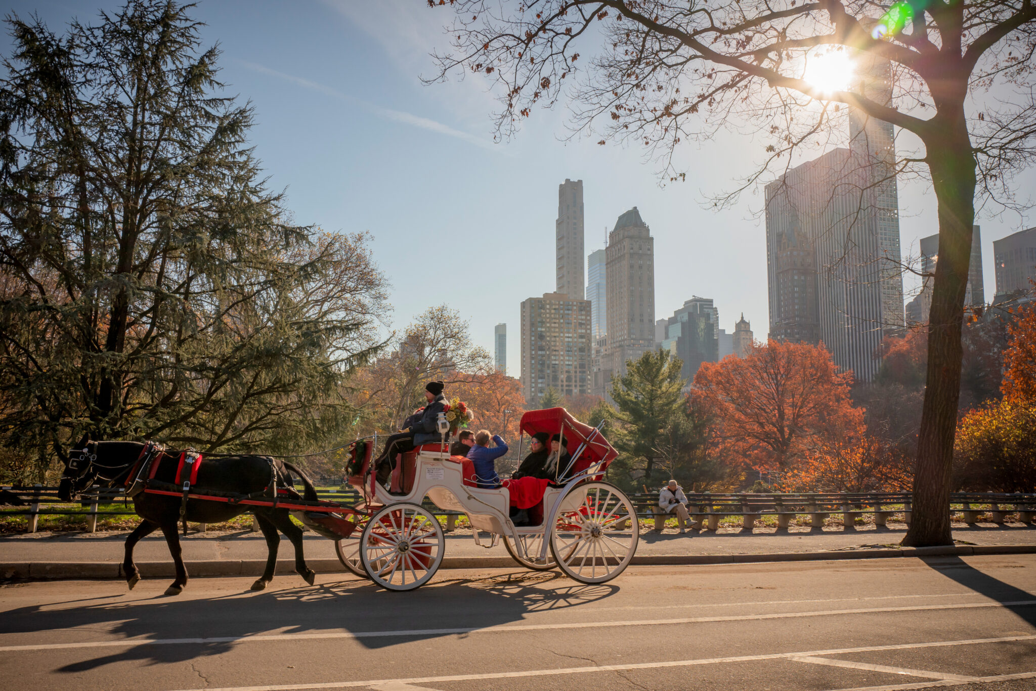 Pitting Effect New York City Bans Horse-Drawn Carriages After Decade-Long Battle