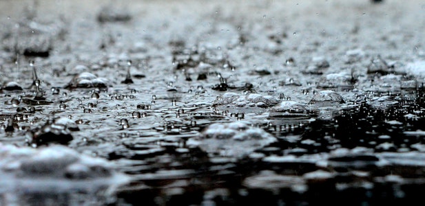 Top Private Flood Insurers 2017 Market Study