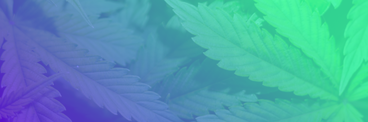 Guide to Cannabis Markets 2021
