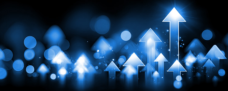 Top 50 Personal Lines Agencies 2025
