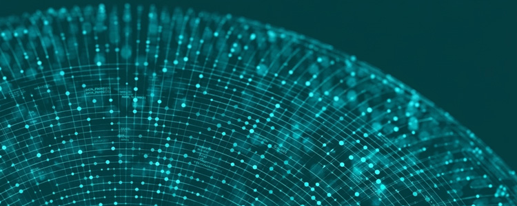 14-Point Loss Ratio Improvement: How an Insurer Transformed Risk Selection with Dynamic Intelligence