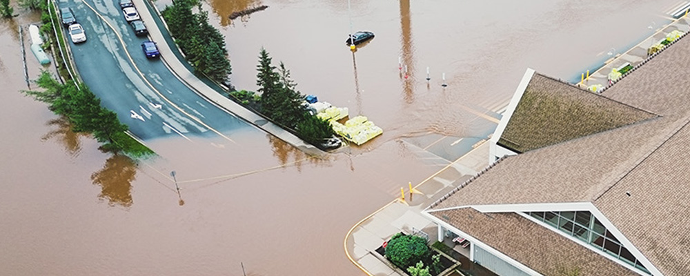 Weathering the Storm: When Disasters Strike, Fast Claims Matter
