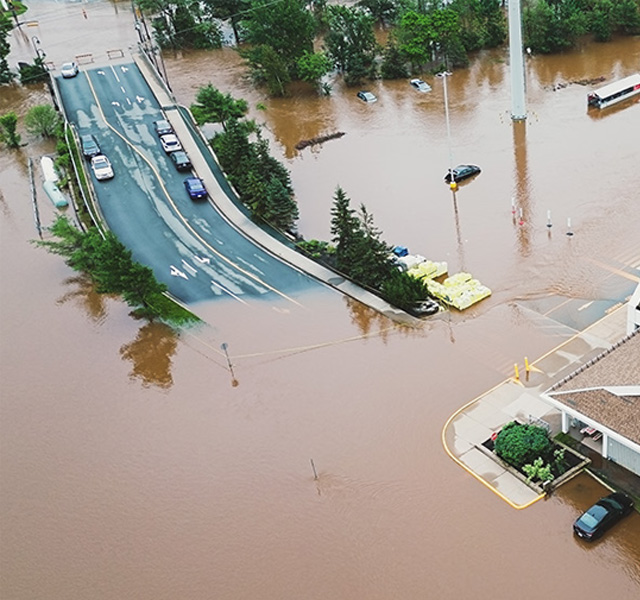 Weathering the Storm: When Disasters Strike, Fast Claims Matter