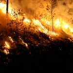 texas wildfire power line