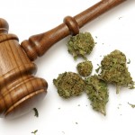 marijuana_gavel