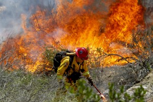 California Fire Capt. Mark Miller lights a backfire as he anCalifornia Fire Capt. Mark Miller lights a backfire as he and a crew from Oak Glen Fire Camp in Riverside try to knock down a brush fire near Oriole Court in Carlsbad, Calif., on Wednesday, May 14, 2014. (AP Photo/U-T San Diego, Hayne Palmour IV)d a crew  try to knock down a brush fire near Oriole Court in Carlsbad, Calif., on Wednesday. Thousands were asked to evacuate their homes in Carlsbad after the blaze erupted at about 10:34 a.m. Wednesday and spread through rapidly heavy brush before jumping into residential areas. (AP Photo/U-T San Diego, Hayne Palmour IV)